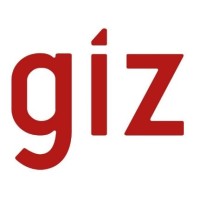 GIZ logo